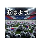 韓国国旗とサッカーボール（個別スタンプ：6）
