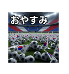 韓国国旗とサッカーボール（個別スタンプ：7）