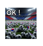 韓国国旗とサッカーボール（個別スタンプ：9）