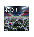 韓国国旗とサッカーボール（個別スタンプ：10）