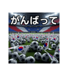 韓国国旗とサッカーボール（個別スタンプ：11）