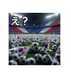 韓国国旗とサッカーボール（個別スタンプ：12）