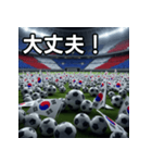 韓国国旗とサッカーボール（個別スタンプ：15）