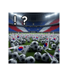 韓国国旗とサッカーボール（個別スタンプ：17）