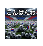 韓国国旗とサッカーボール（個別スタンプ：18）