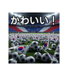 韓国国旗とサッカーボール（個別スタンプ：20）