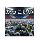 韓国国旗とサッカーボール（個別スタンプ：21）