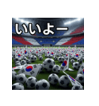韓国国旗とサッカーボール（個別スタンプ：22）