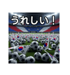 韓国国旗とサッカーボール（個別スタンプ：24）