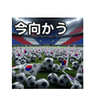韓国国旗とサッカーボール（個別スタンプ：26）