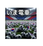 韓国国旗とサッカーボール（個別スタンプ：27）