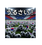 韓国国旗とサッカーボール（個別スタンプ：29）