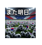 韓国国旗とサッカーボール（個別スタンプ：32）