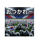 韓国国旗とサッカーボール（個別スタンプ：35）