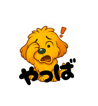 表情たくさん！まるぷー（個別スタンプ：19）