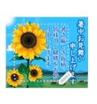 【書き込める 暑中見舞い 夏 サマー】（個別スタンプ：1）