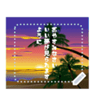 【書き込める 暑中見舞い 夏 サマー】（個別スタンプ：24）