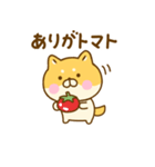ゆる柴犬のダジャレだよ（個別スタンプ：19）