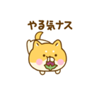 ゆる柴犬のダジャレだよ（個別スタンプ：24）