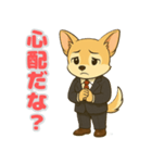 チワワの喜怒哀楽スタンプ4（個別スタンプ：13）