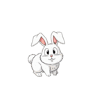 【表情豊かな動物達 2】（個別スタンプ：11）