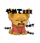 チワワちゃんの日常《駄々》（個別スタンプ：22）