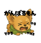 チワワちゃんの日常《駄々》（個別スタンプ：23）