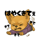 チワワちゃんの日常《駄々》（個別スタンプ：27）