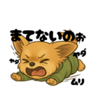 チワワちゃんの日常《駄々》（個別スタンプ：28）