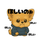 チワワちゃんの日常《駄々》（個別スタンプ：37）