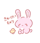 ぴょんぴぃ（個別スタンプ：2）