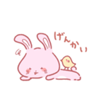 ぴょんぴぃ（個別スタンプ：3）