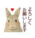【夏】ネザーランドドワーフ君（個別スタンプ：5）