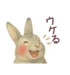 【夏】ネザーランドドワーフ君（個別スタンプ：6）