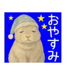 【夏】ネザーランドドワーフ君（個別スタンプ：11）