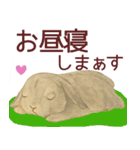 【夏】ネザーランドドワーフ君（個別スタンプ：12）