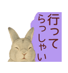 【夏】ネザーランドドワーフ君（個別スタンプ：16）