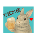 【夏】ネザーランドドワーフ君（個別スタンプ：25）