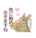 【夏】ネザーランドドワーフ君（個別スタンプ：26）