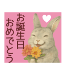 【夏】ネザーランドドワーフ君（個別スタンプ：30）