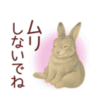 【夏】ネザーランドドワーフ君（個別スタンプ：34）