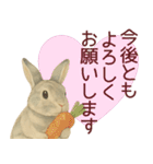 【夏】ネザーランドドワーフ君（個別スタンプ：38）