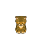 ぺこり猫のごあいさつスタンプ（個別スタンプ：1）