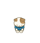 ぺこり猫のごあいさつスタンプ（個別スタンプ：16）