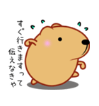 きゃぴばら【エッホエッホ】（個別スタンプ：11）