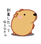 きゃぴばら【エッホエッホ】（個別スタンプ：13）