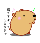 きゃぴばら【エッホエッホ】（個別スタンプ：17）