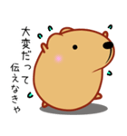 きゃぴばら【エッホエッホ】（個別スタンプ：19）