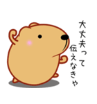 きゃぴばら【エッホエッホ】（個別スタンプ：36）