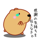 きゃぴばら【エッホエッホ】（個別スタンプ：39）